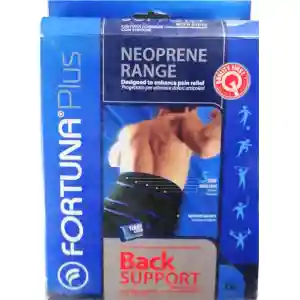 Back Support